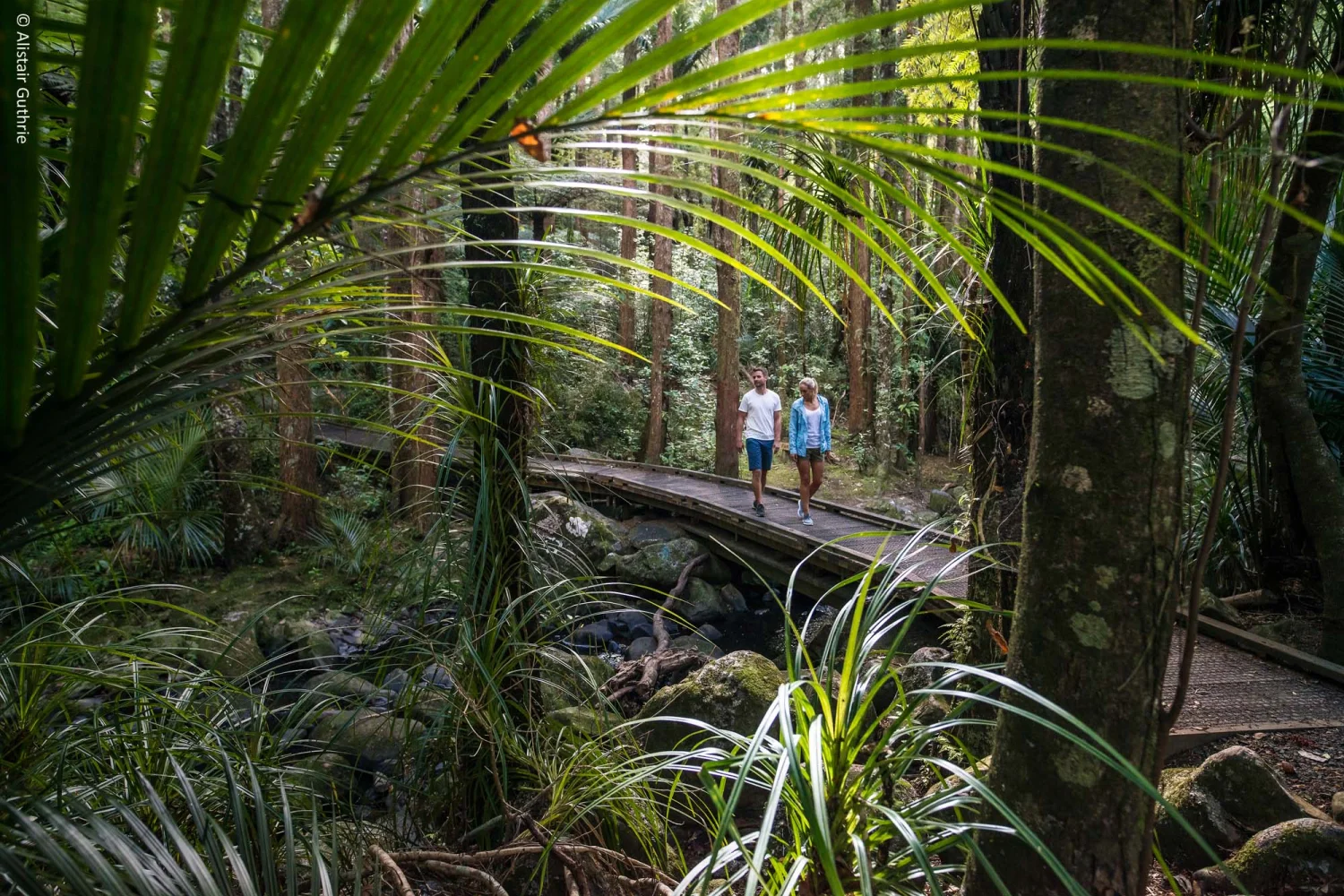 Whangarei - Northland - North Island - New Zealand