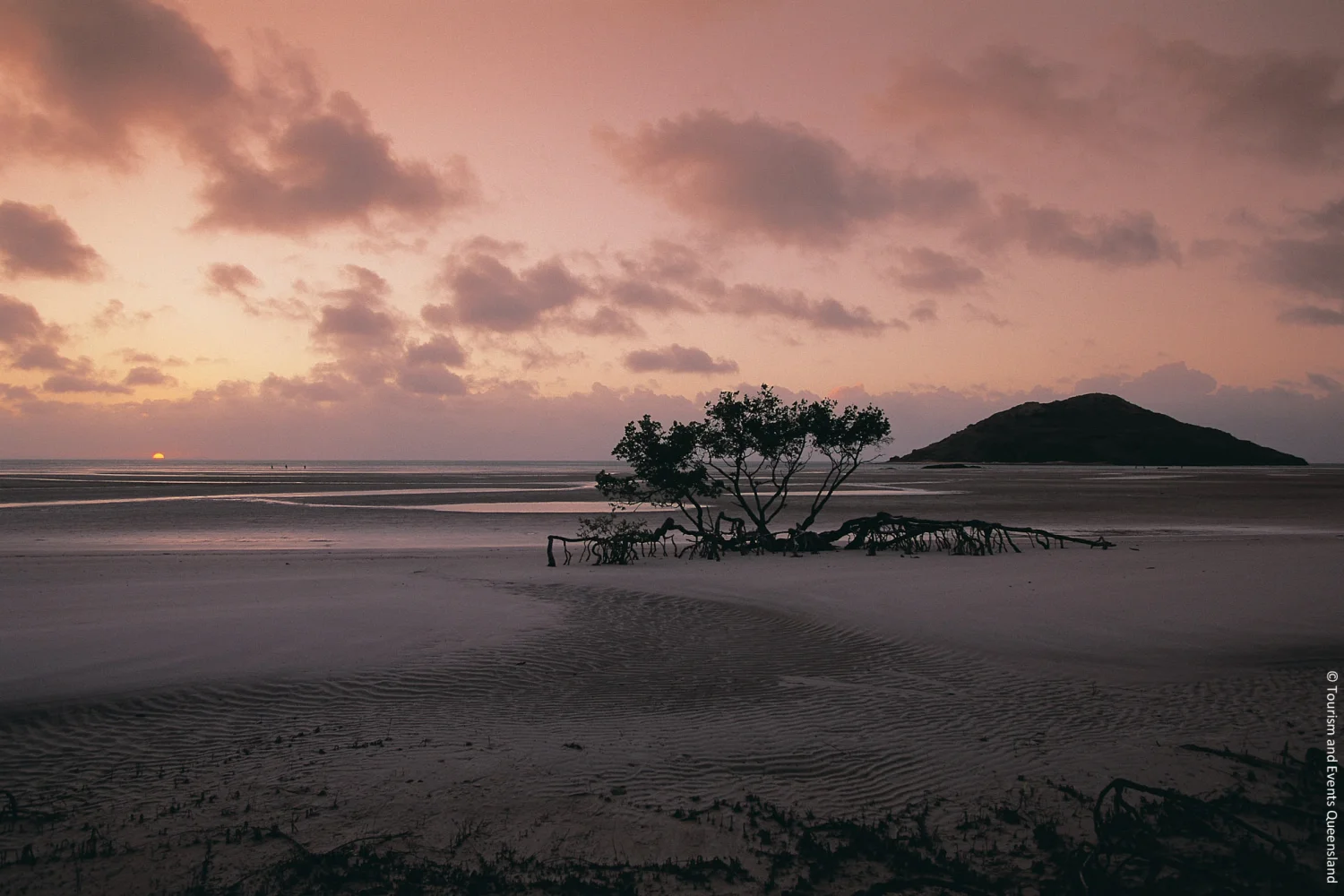 Cape York - Peninsula - Tropical North Queensland