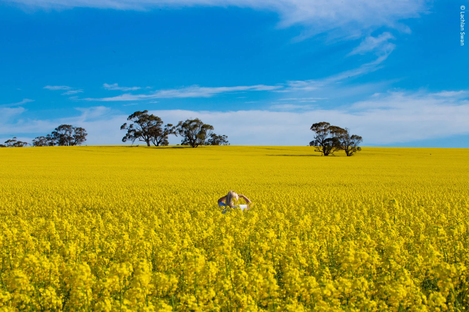 Clare Valley - Wine region - South Australia