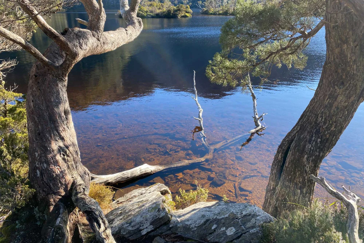 Cradle Mountain Nationalpark