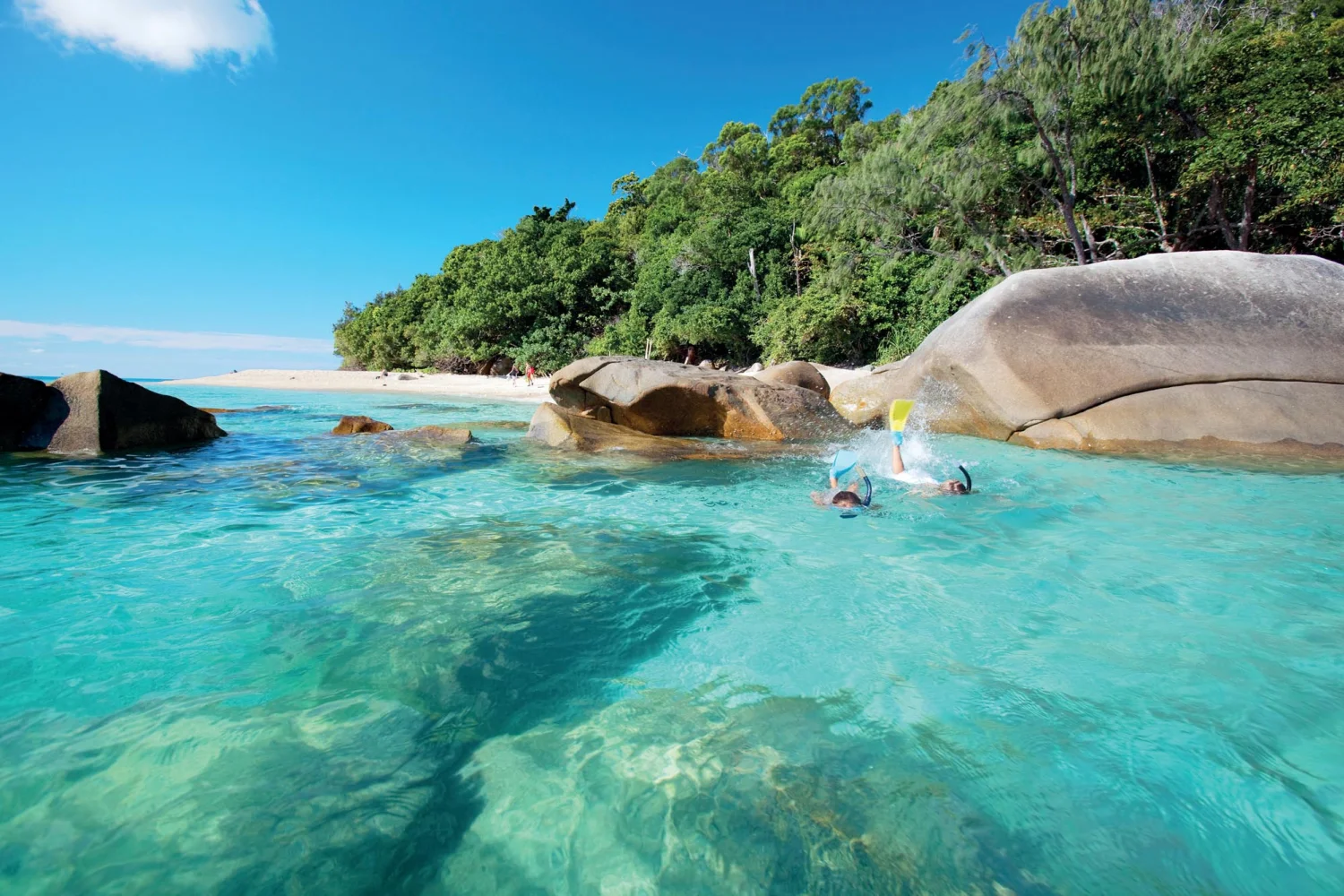 Fitzroy Island - Great Barrier Reef - Snorkelling - TEQ