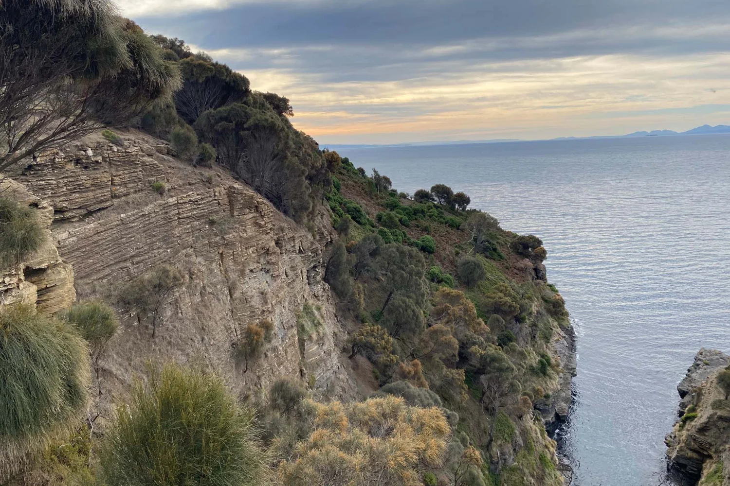 Fossil Cliffs Maria Island