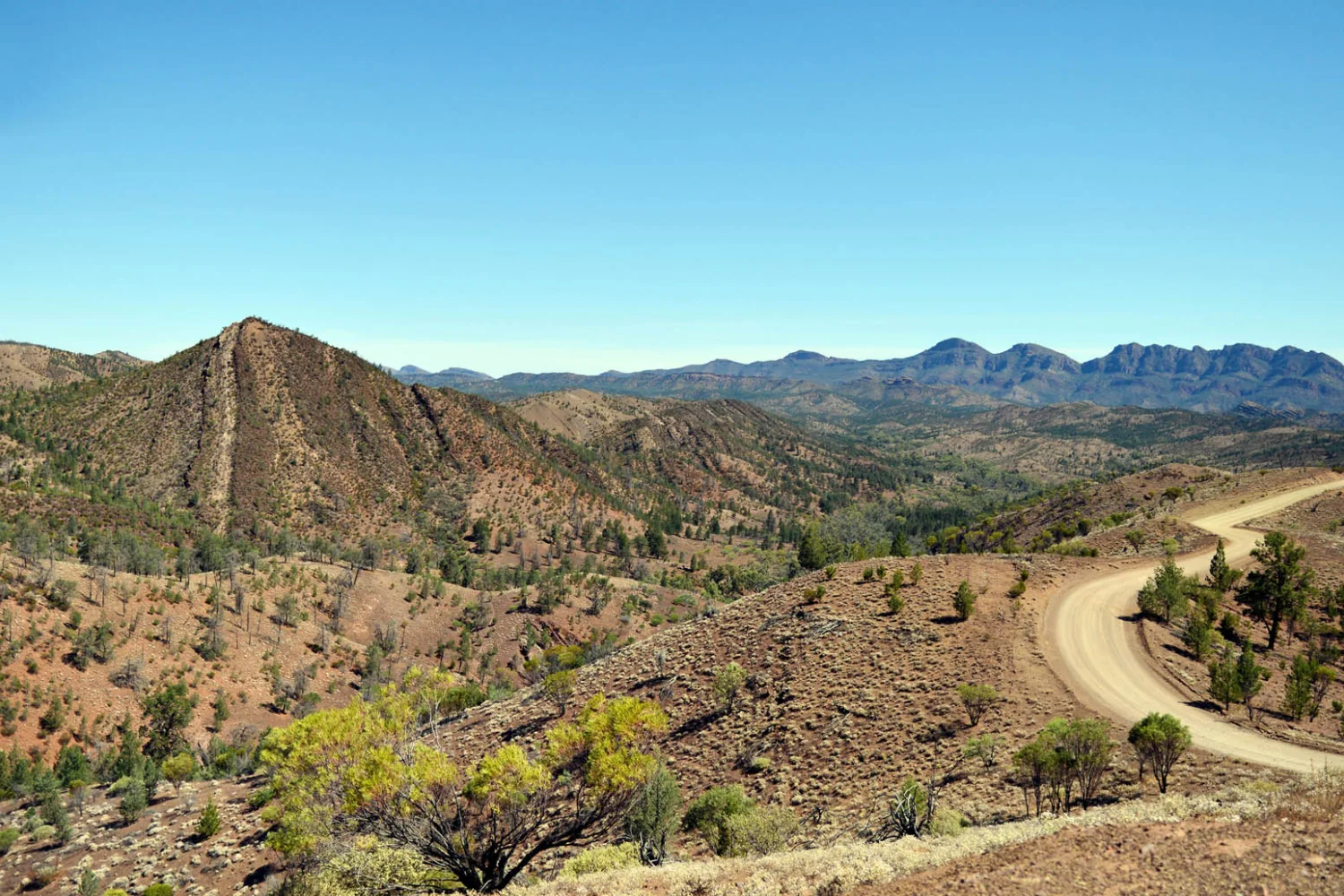 Flinders Ranges - scenic drive - Outback - KI Odysseys