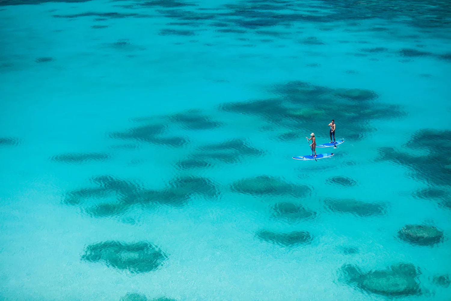 Lizard Island - Great Barrier Reef - Stand Up Paddle Boarding