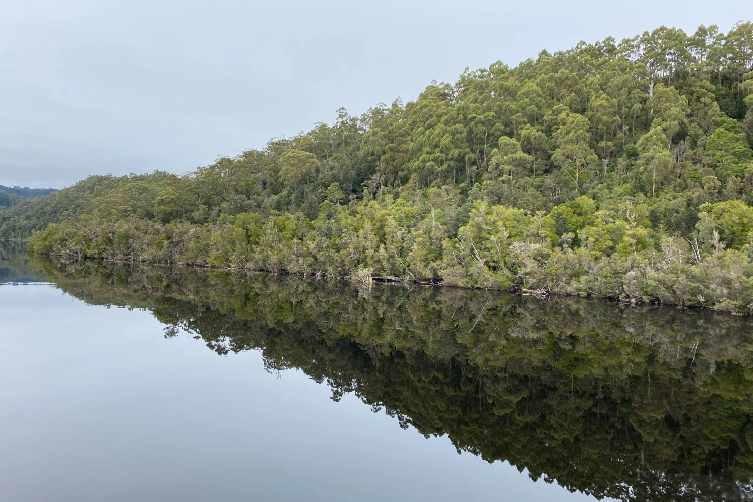 Gordon RIver Cruise