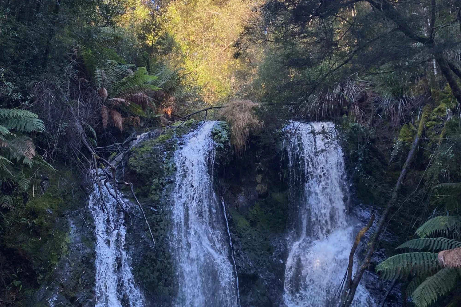 Hogarth Falls Strahan