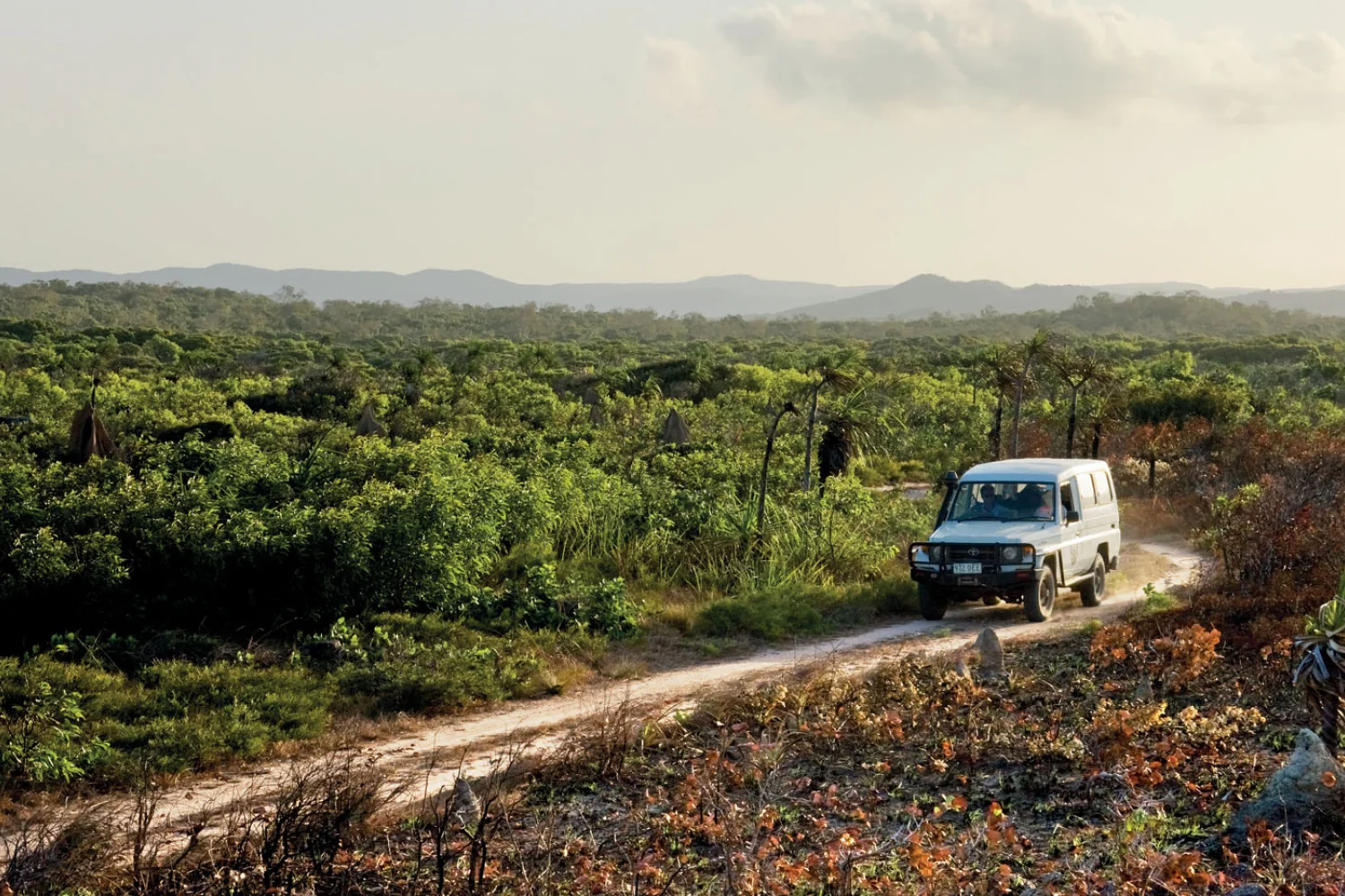 Cape York - Horn Island 4WD Track - Tropical North Queensland