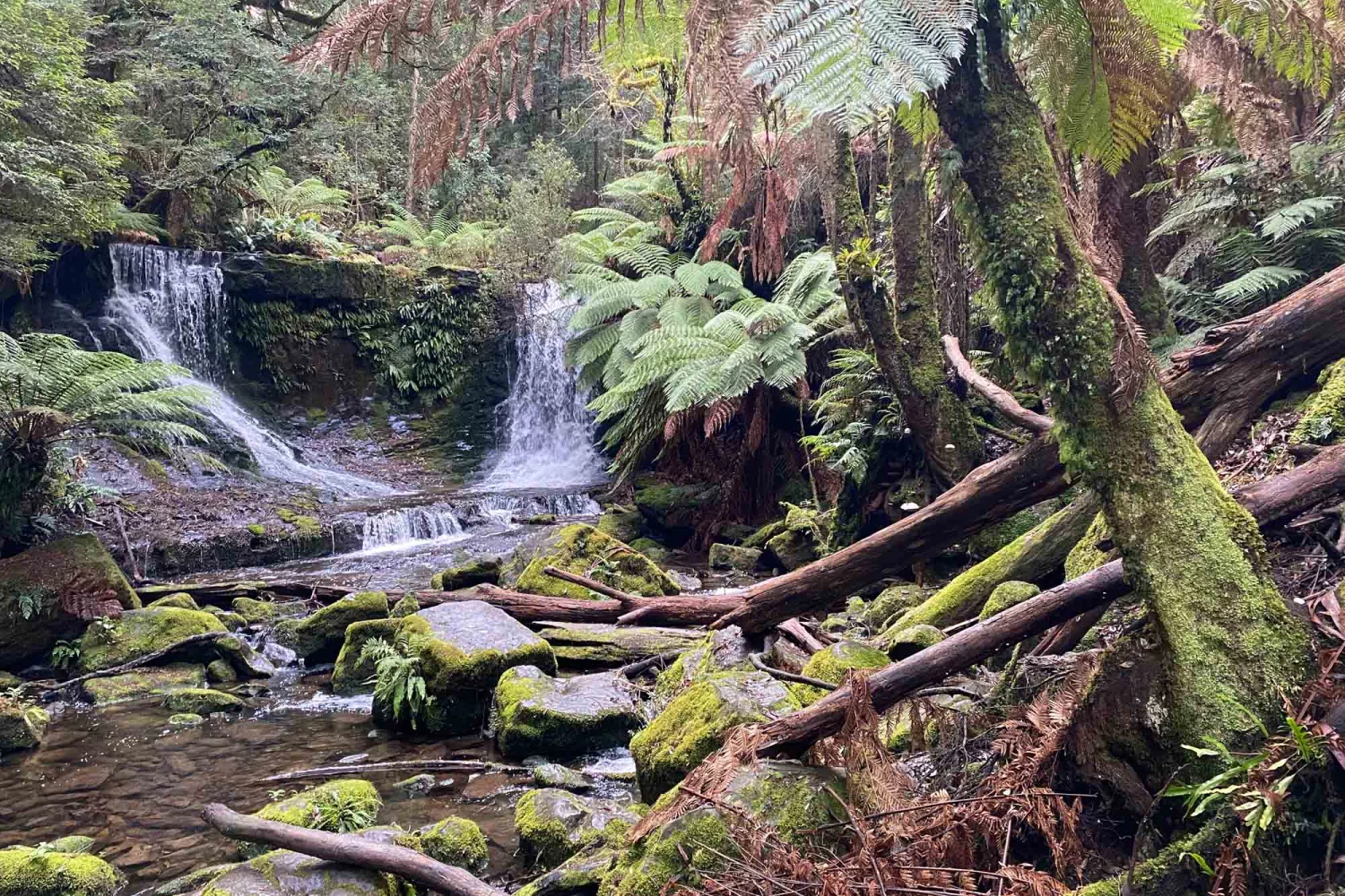 Horseshoe Falls Mount Field Nationalpark