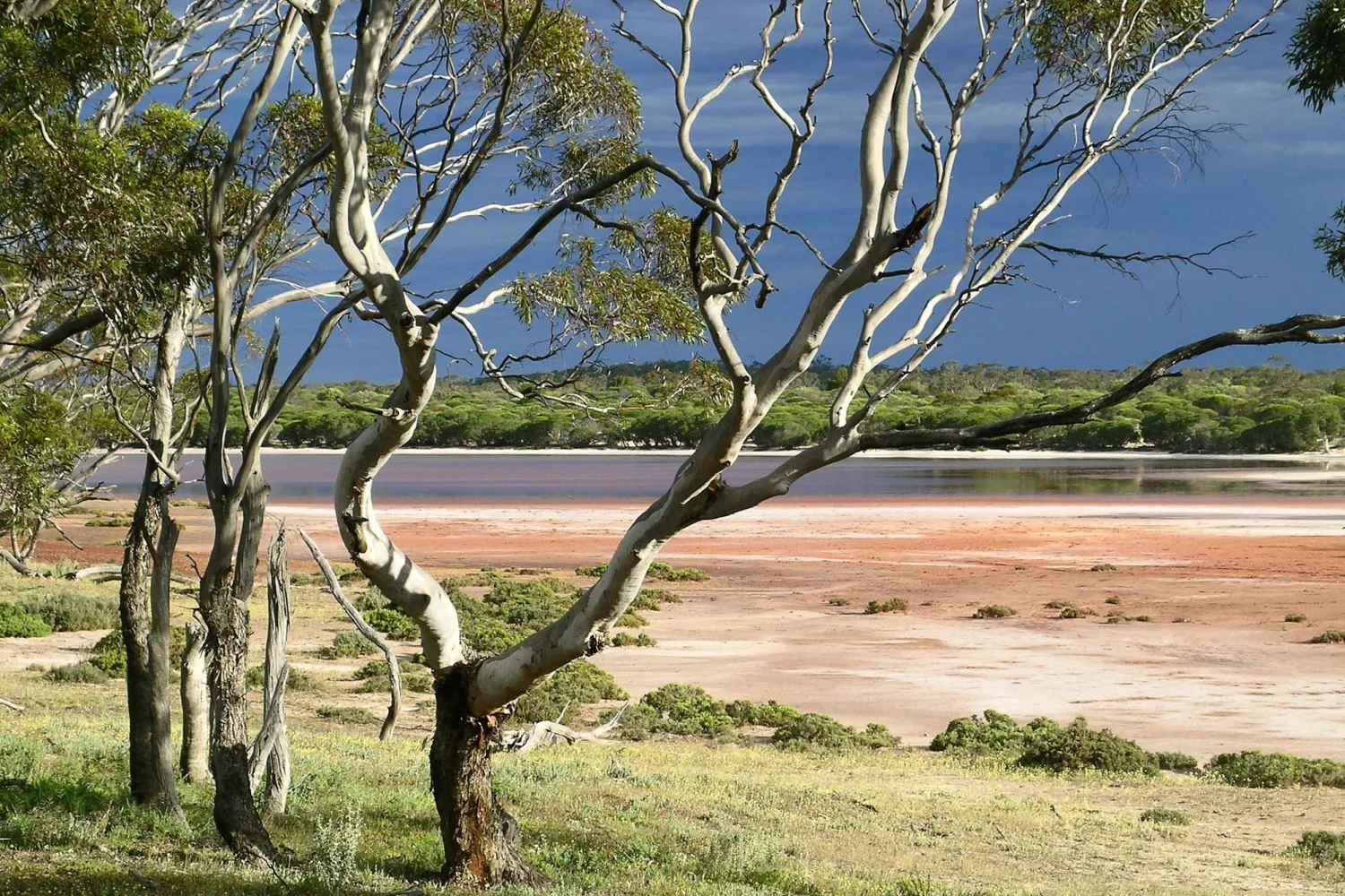 Gawler Ranges - Kangaluna lake - South Australia