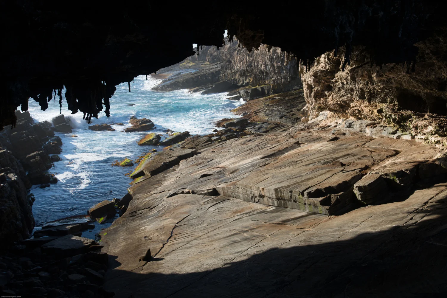 Kangaroo Island - Admirals Arch_2 - EKI