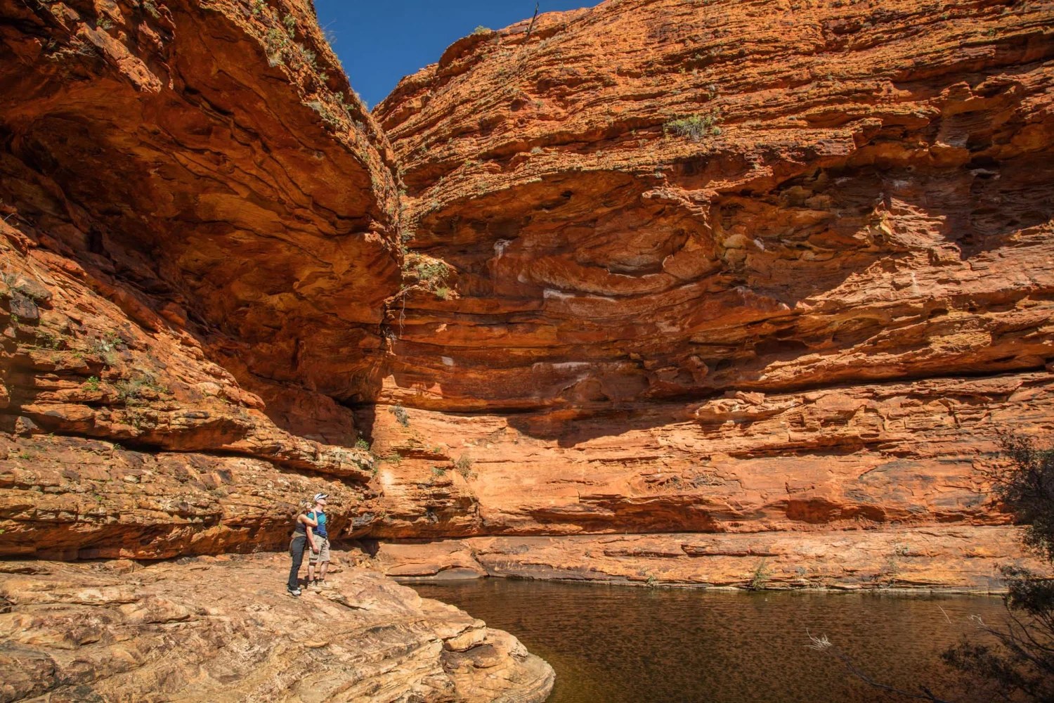 Wayoutback - Kings Canyon - Garden of Eden_1