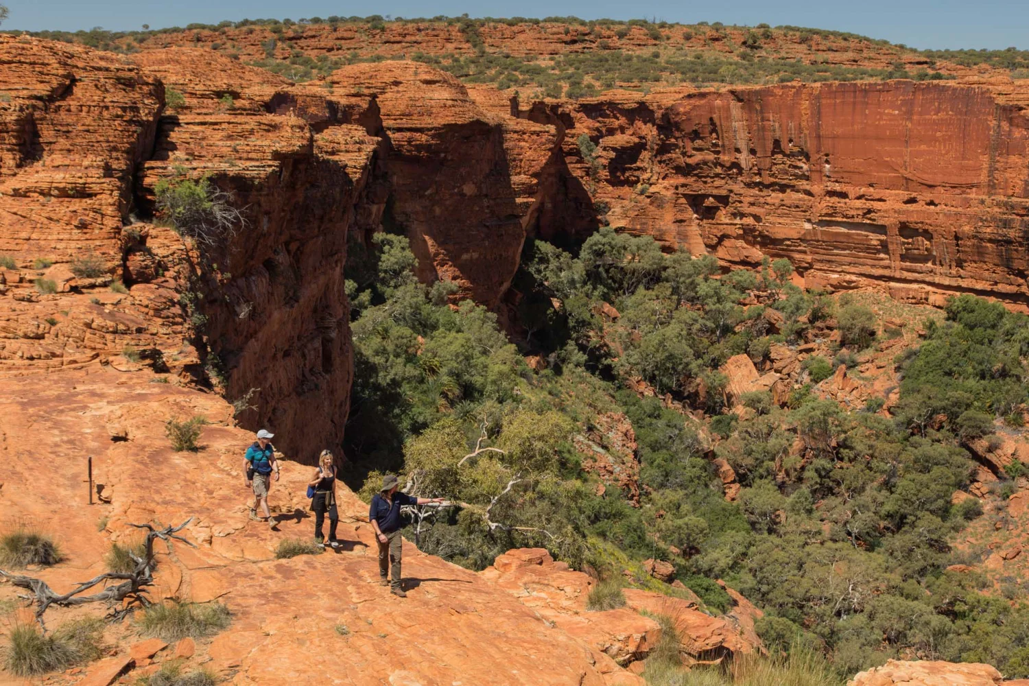 Wayoutback - Kings Canyon - Rim Walk