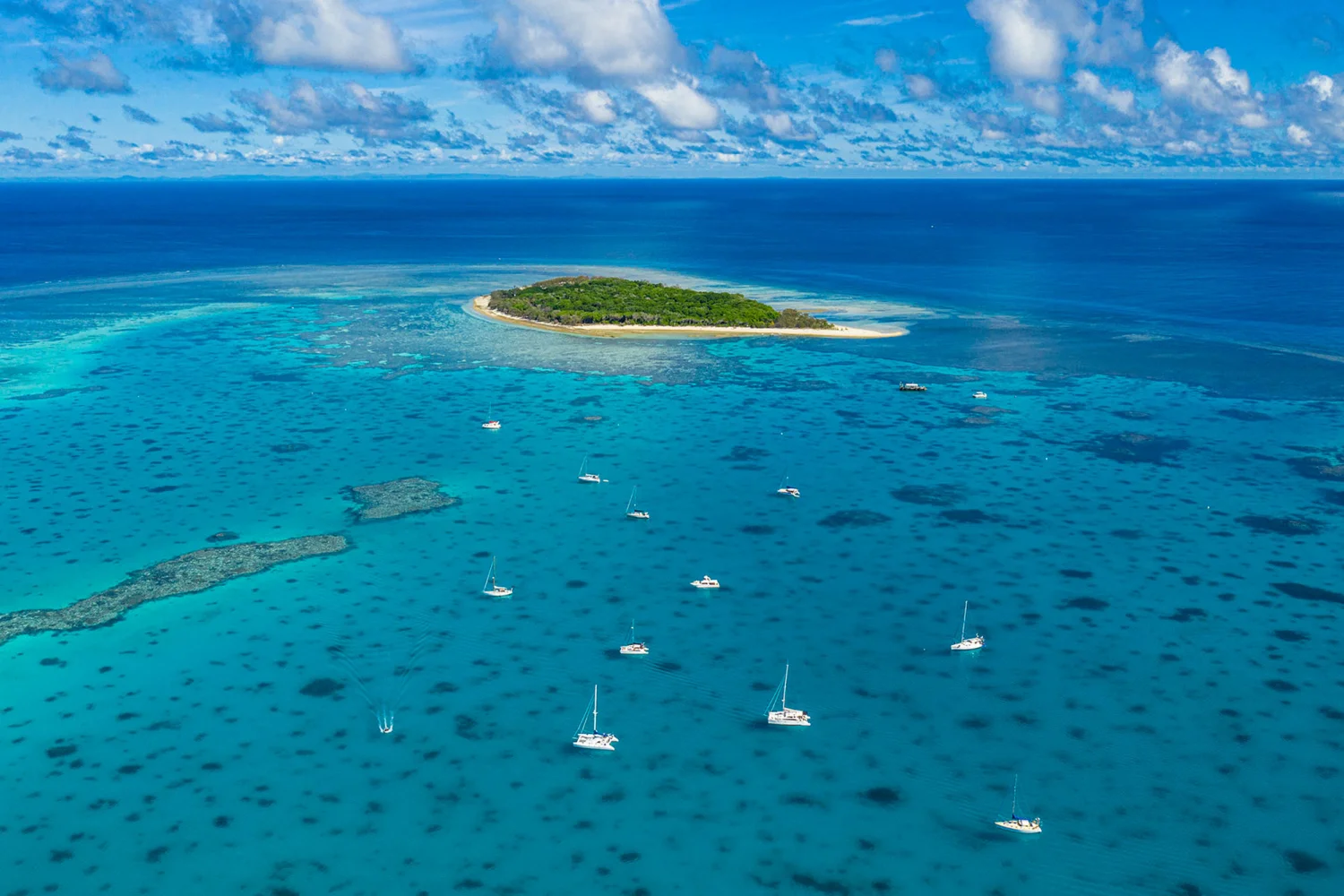 Lady Musgrave - Great Barrier Reef - TEQ