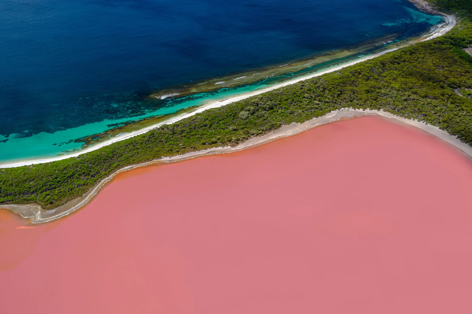 Lake Hillier Middle Island Esperance