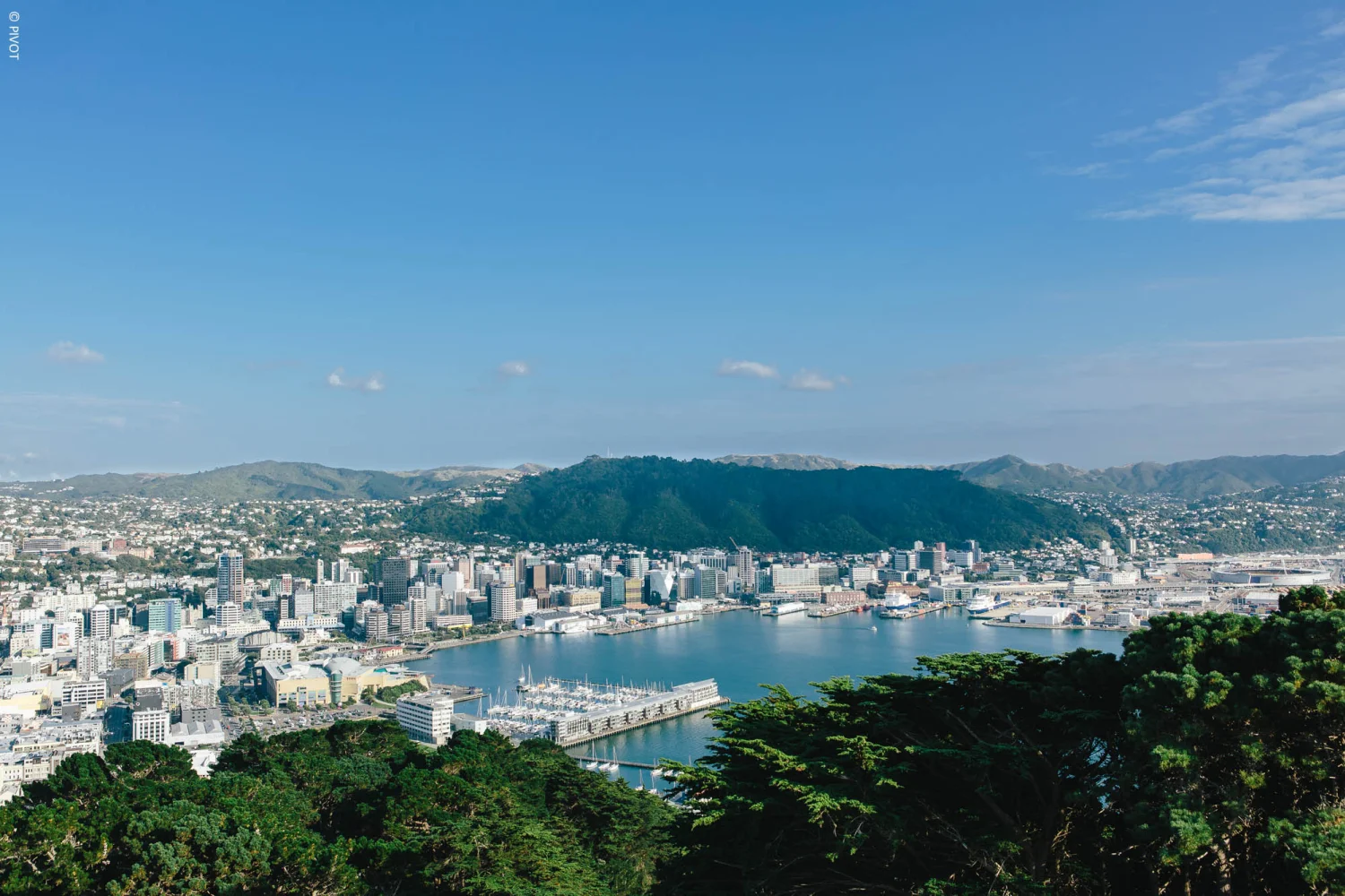 Wellington - Mount Victoria View_2 - North Island - New Zealand