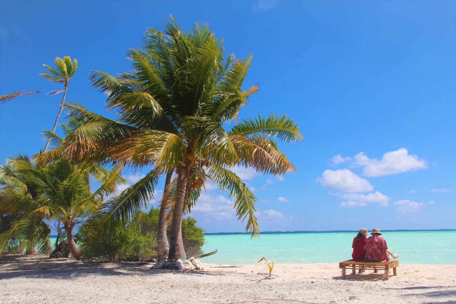 Cook Islands - Tongareva - Northern Atolls - 5