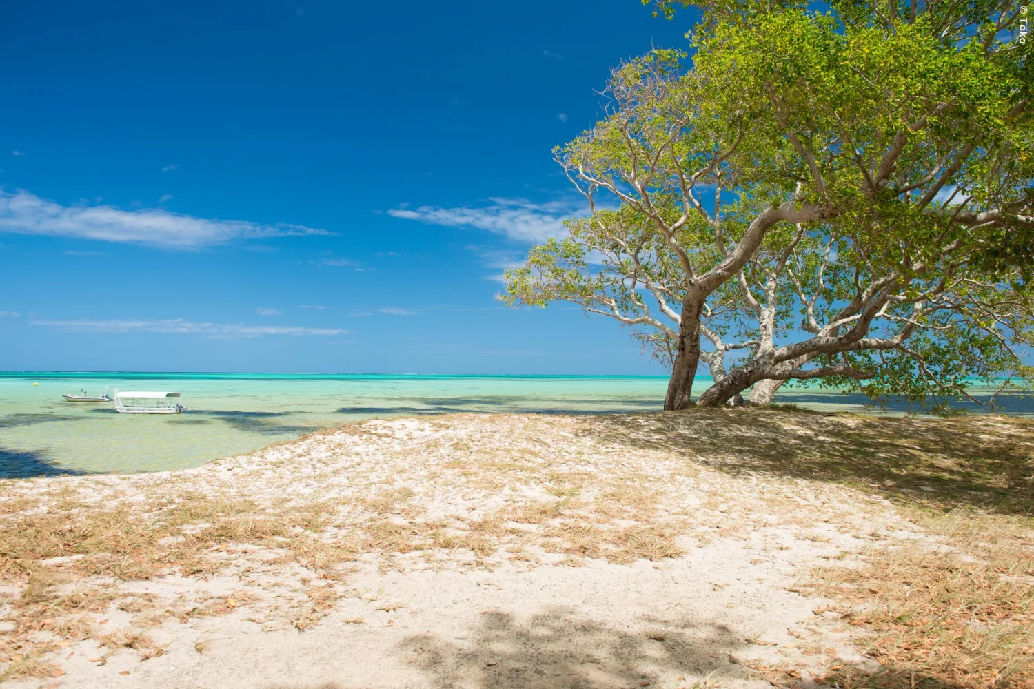 NC - Poé Beach