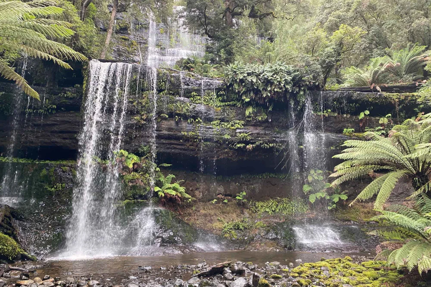 Russell Falls Mount Field Nationalpark