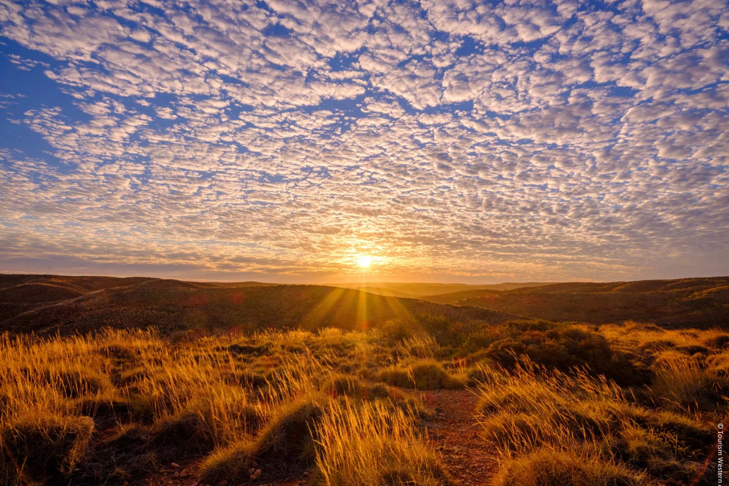 Sal Salis - Ningaloo Reef - backyard view