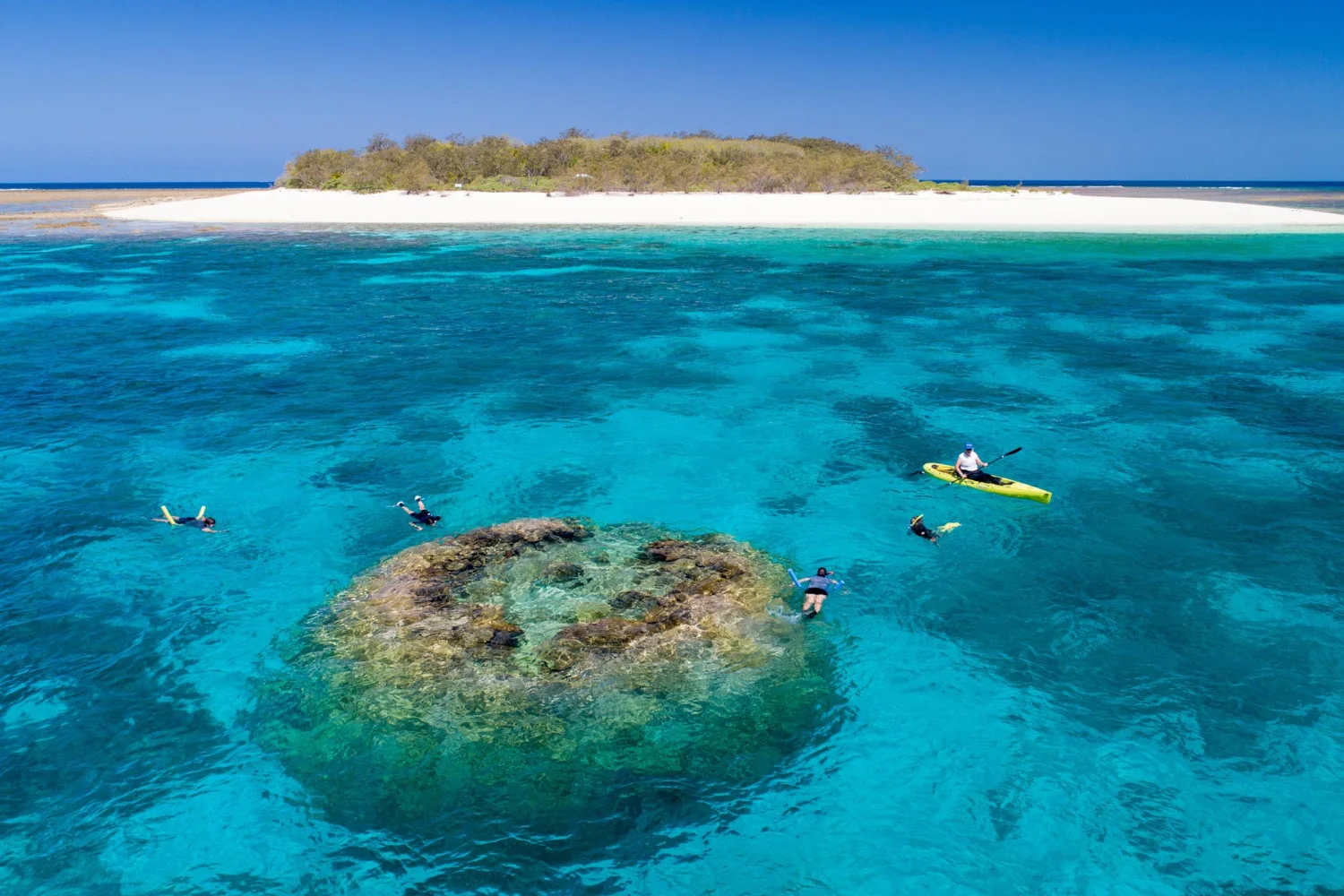 Wilson Island - Great Barrier Reef - Activities - TEQ