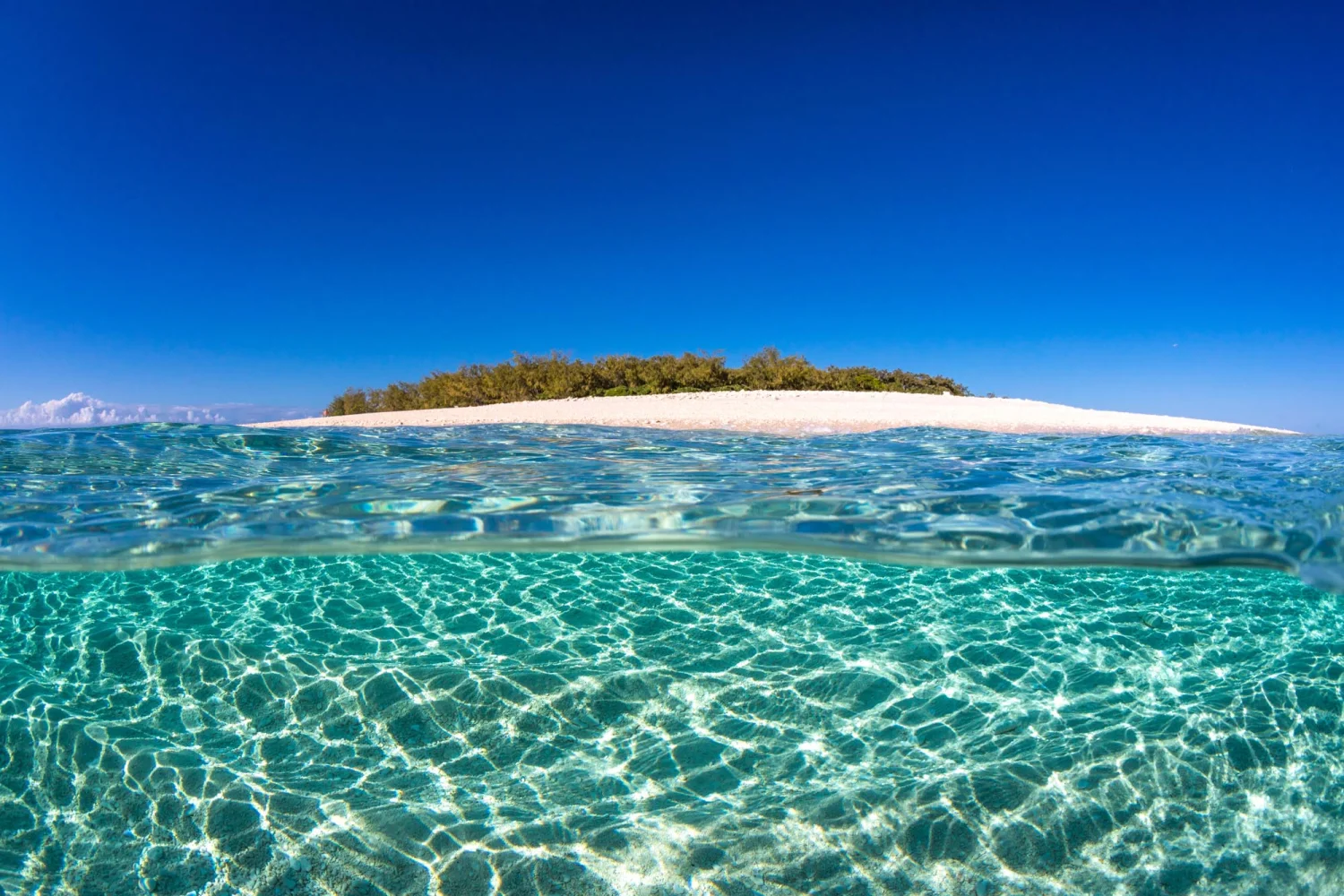 Wilson Island - Great Barrier Reef - underwater - TEQ