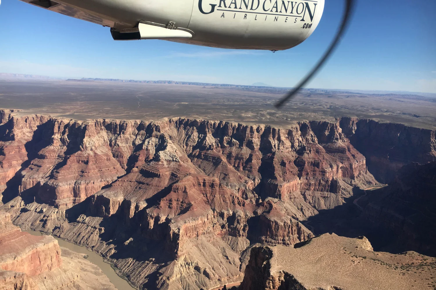 Steffi - Grand Canyon