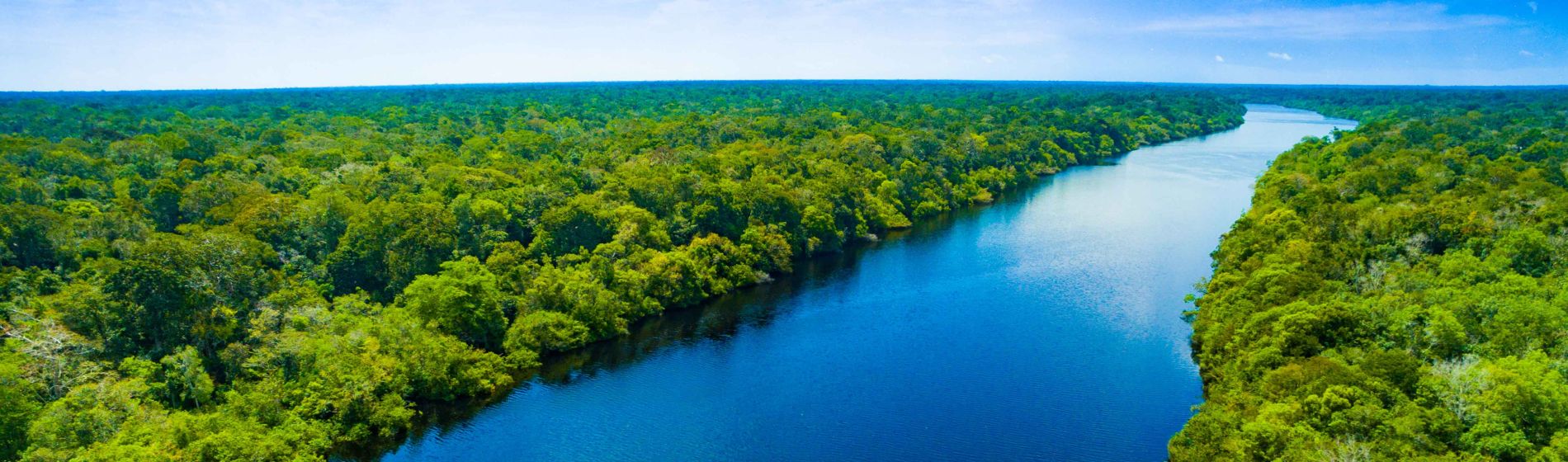 amazonas-fluss_in_brasilien.jpg