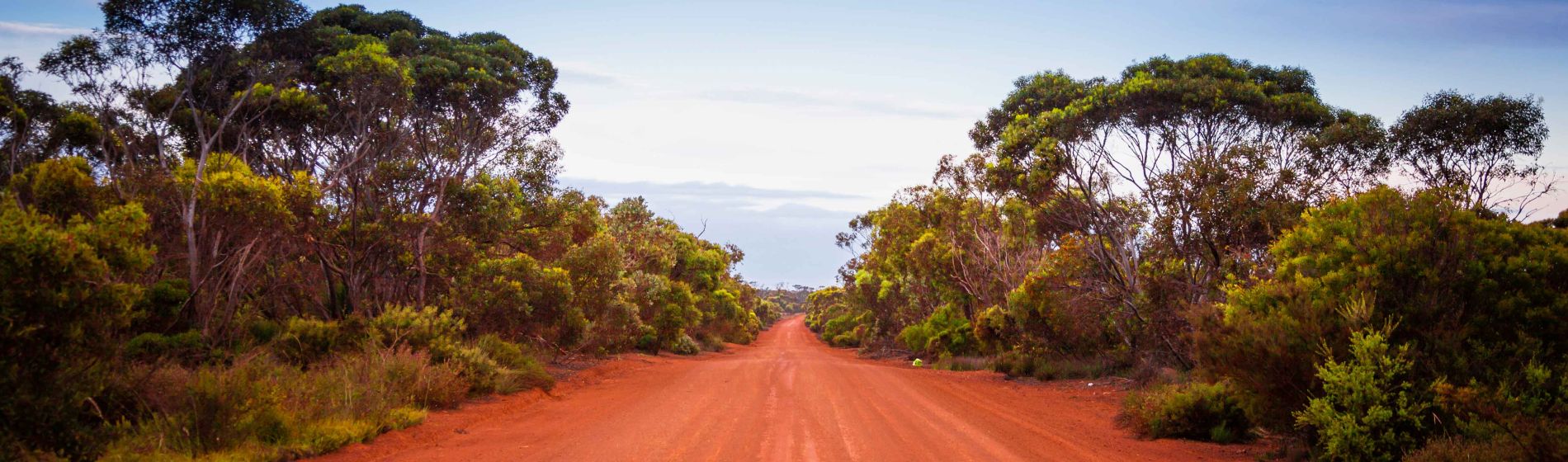 dirt_road_in_wa.jpg