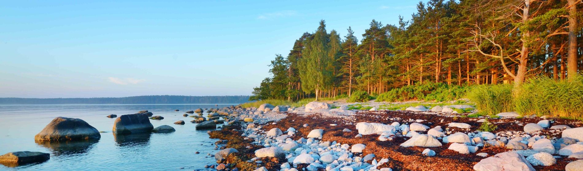 felsen_an_der_kueste_von_kasmu_estland.jpg