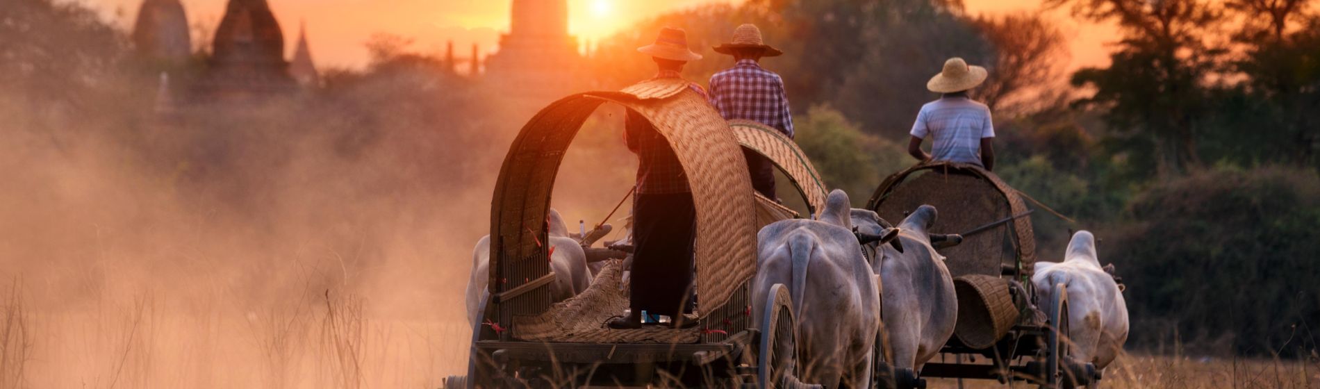 myanmar_transport_von_lokalen_viehwagen_von_bagan_mandalay_burma_bei_sonnenuntergang.jpg