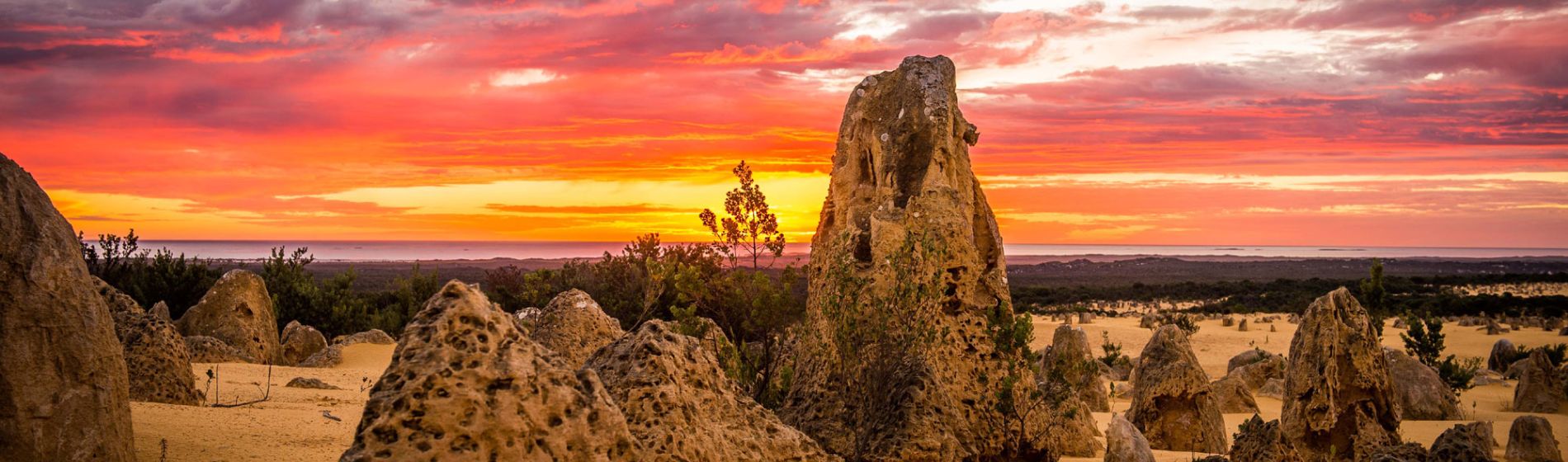 pinnacles_od_nambung_national_park.jpg