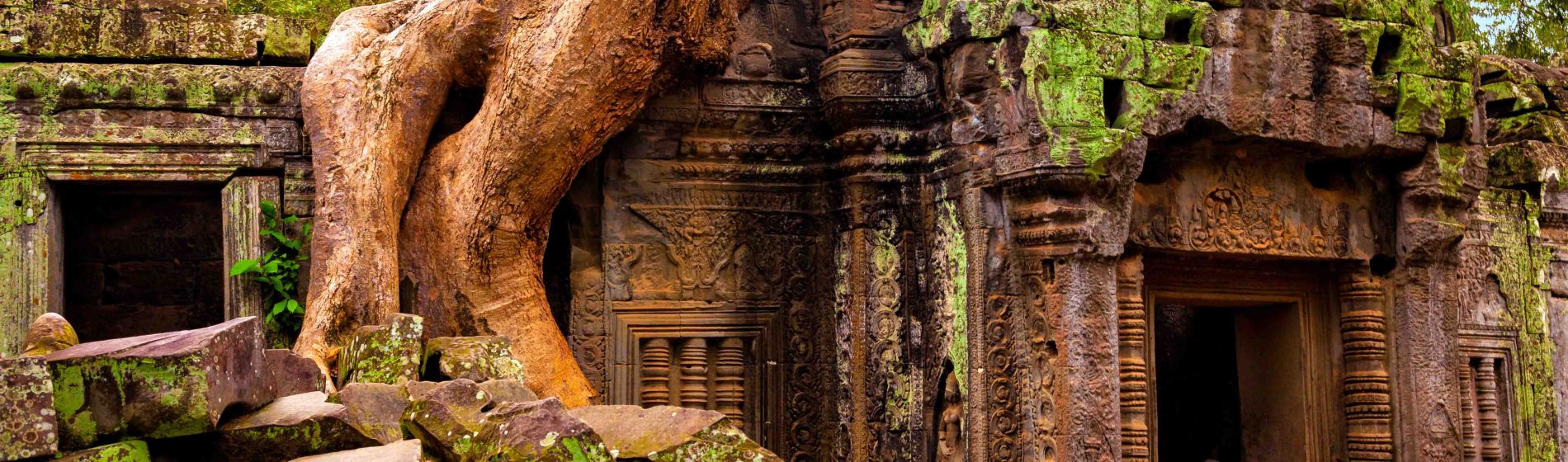 ta_prohm_tempel_im_angkor_wat_komplex_siem_reap_kambodscha.jpg