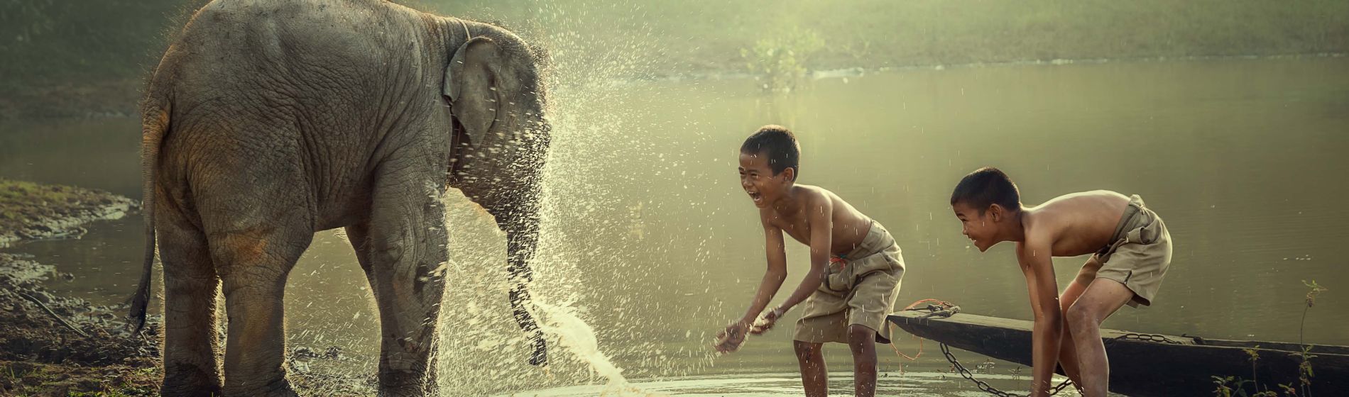 zwei_jungen_spielen_wasser_mit_dem_elefant_im_teich.jpg